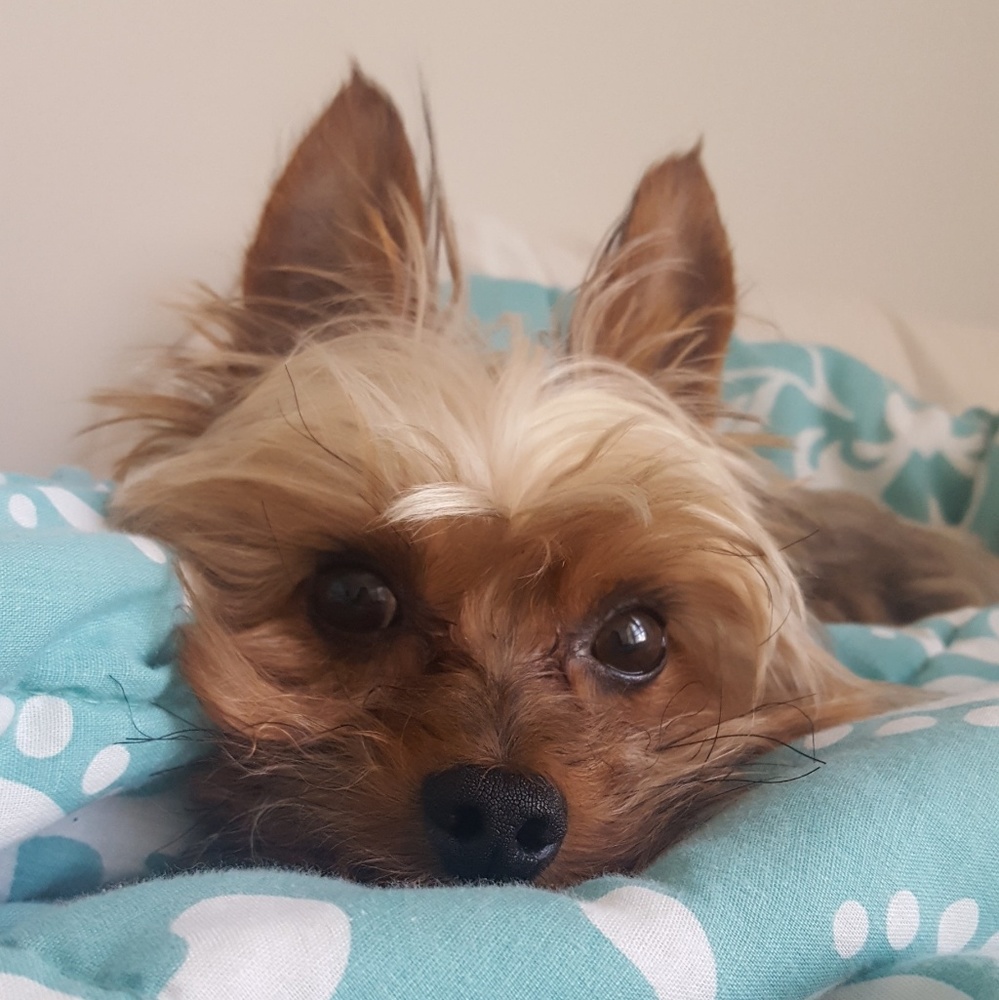 Meet your Posher, Helen